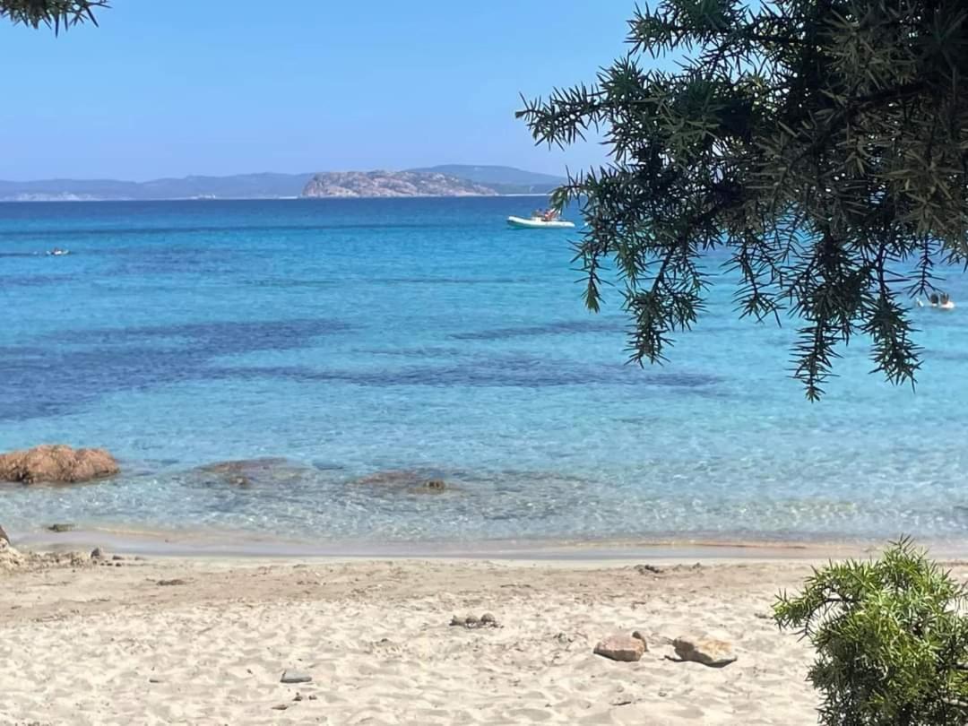 شقة Surf House Mirice Vignola Mare المظهر الخارجي الصورة